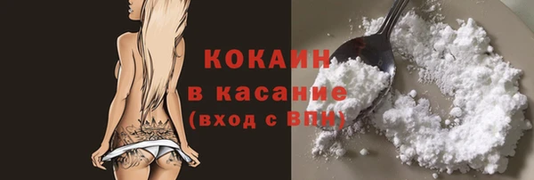 стаф Алзамай