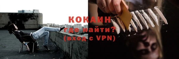стаф Алзамай