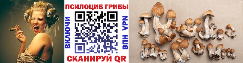 Псилоцибиновые грибы Cubensis Усть-Илимск